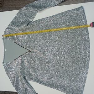 Women's silver sparkly top. Oversized with a zipper.
